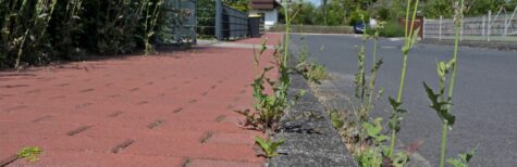 Ersatzzwangshaft zum Durchsetzen der Straßenreinigungspflicht?