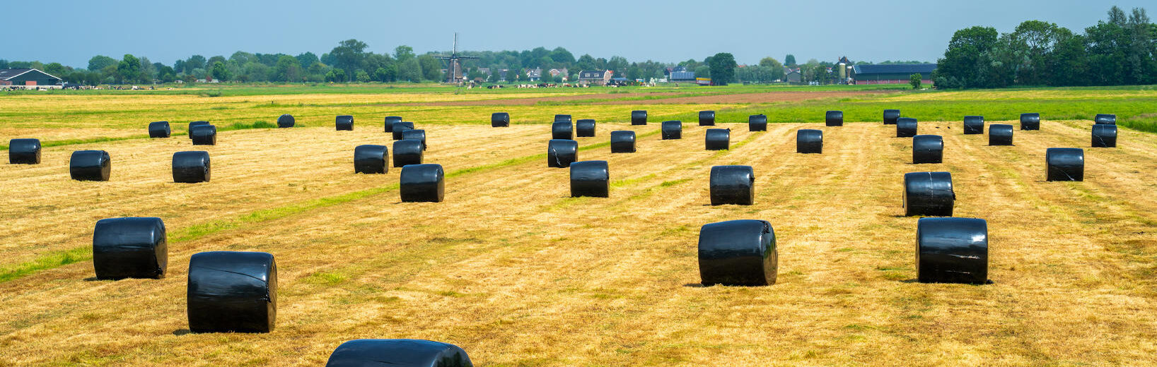 Zulässigkeit des Lagerns von Silagerundballen im allgemeinen Wohngebiet Silagerundballen