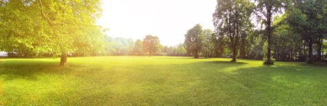 Mehr städtisches Grün