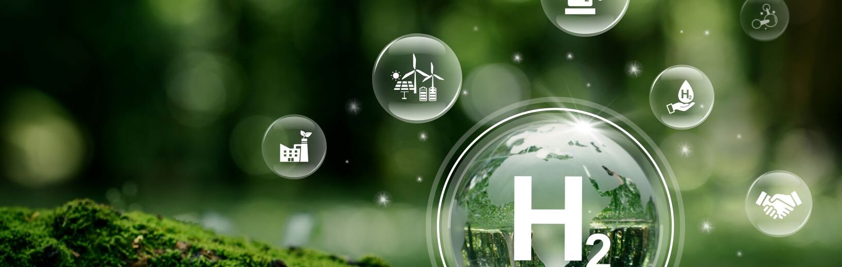 Verordnung zur energiestatistischen Erhebung von Wasserstoff veröffentlicht Wasserstoff