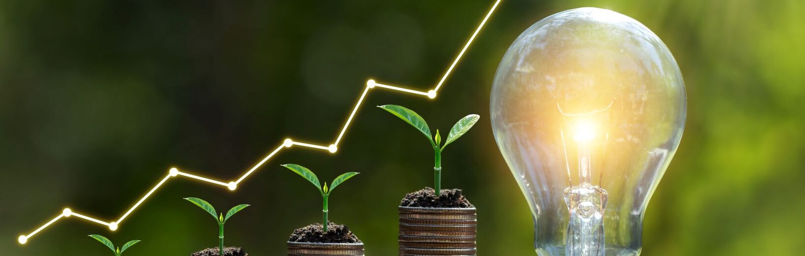 Förderkompass 2025 erschienen Förderkompass