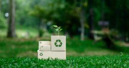 EU-Verpackungsverordnung