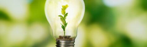 Umsetzungspläne gemäß §9 Energieeffizienzgesetz (EnEfG)