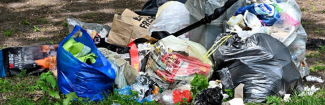 Ist der Eigentümer eines Grundstücks Störer, wenn der Pächter illegal Abfälle lagert?