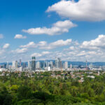 Skyline von Frankfurt mit Stadtwald