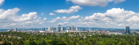 Skyline von Frankfurt mit Stadtwald
