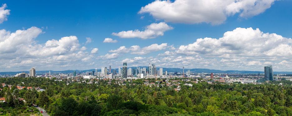 Sorge um den Frankfurter Stadtwald Skyline von Frankfurt mit Stadtwald
