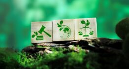 Umweltvereinfachungspaket