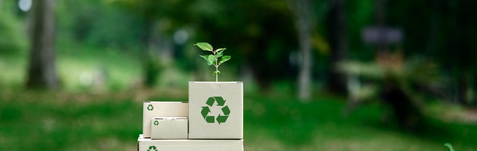 Bundesregierung bringt Verpackungsrecht-Durchführungsgesetz (VerpackDG) auf den Weg VerpackDG