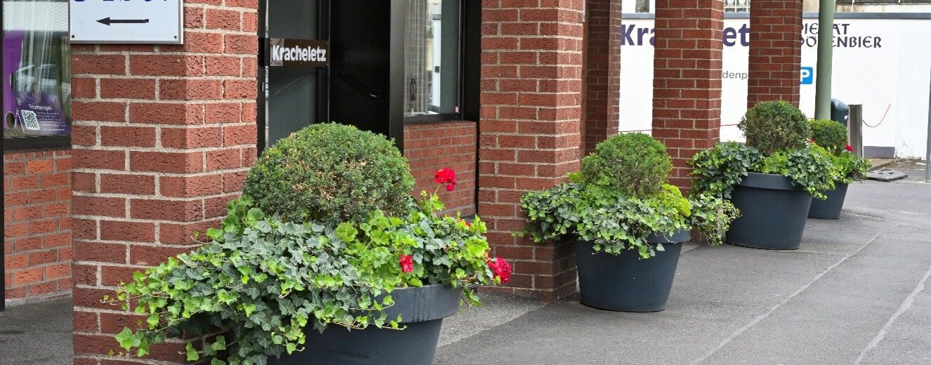 Müssen vor 20 Jahren aufgestellte Blumenkübel beseitigt werden?