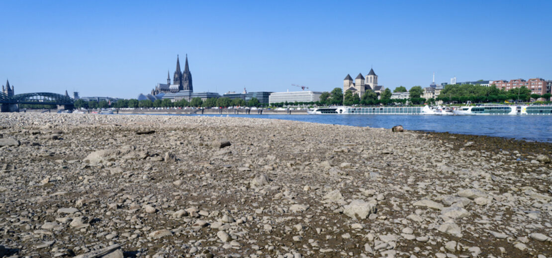 ausgetrocknetes Rhein-Flussbett in Köln
