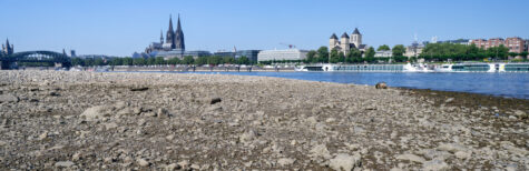 ausgetrocknetes Rhein-Flussbett in Köln