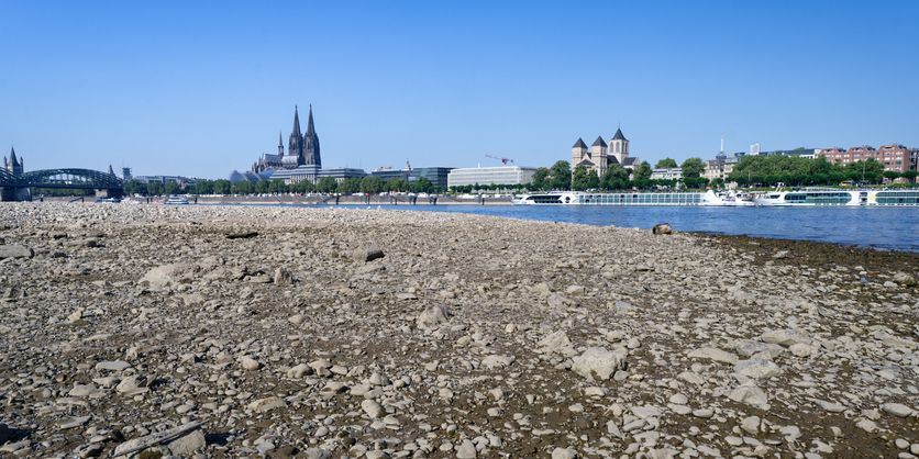 ausgetrocknetes Rhein-Flussbett in Köln
