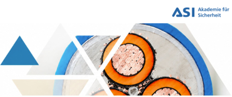 Banner Jahrestagung Elektrosicherheit auf www.weka.de