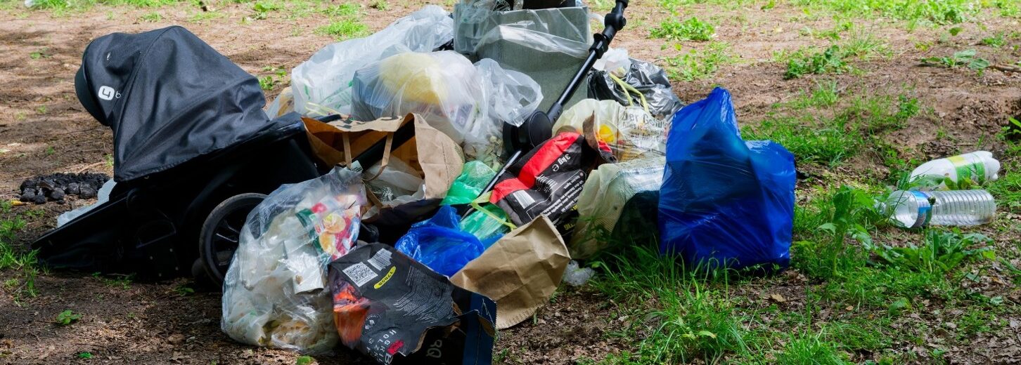 Wer ist für das Entsorgen wilden Mülls im Wald zuständig?
