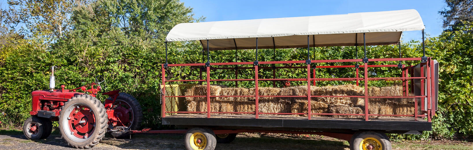 Planwagentour als Brauchtumsveranstaltung?